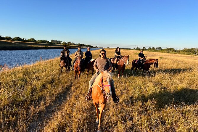 1 hour of ATV + 1 hour horse ride-- free videos and pictures - ATV hour on South Florida dirt: what you actually do and what to expect
