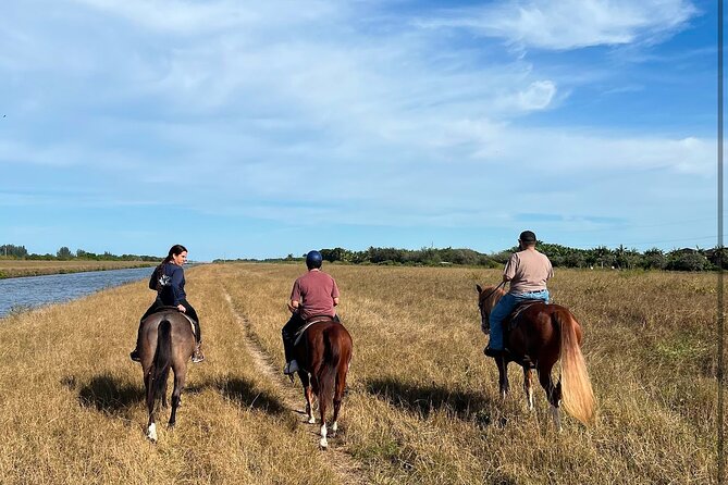 1 hour of ATV + 1 hour horse ride-- free videos and pictures - What else you can do on the grounds after the rides