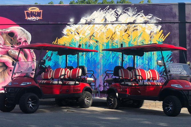 1 Hour WYNWOOD BUGGIES tour - Price and Value: Is $45 for an Hour Worth It?
