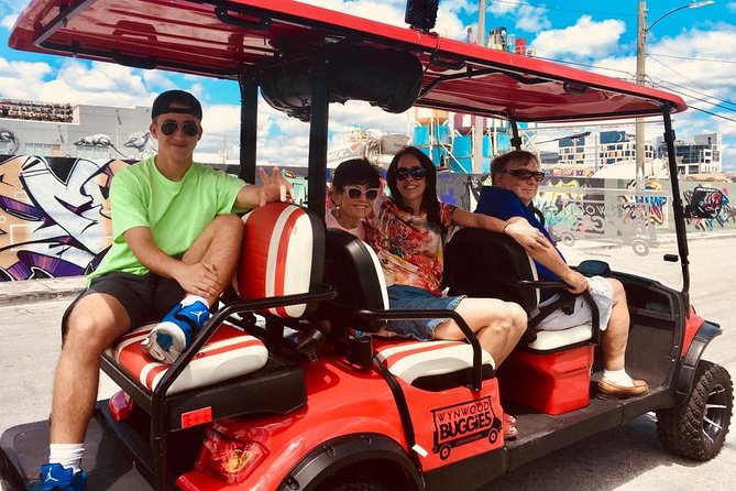 1 Hour WYNWOOD BUGGIES tour - Practical Tips That Come Up Again and Again