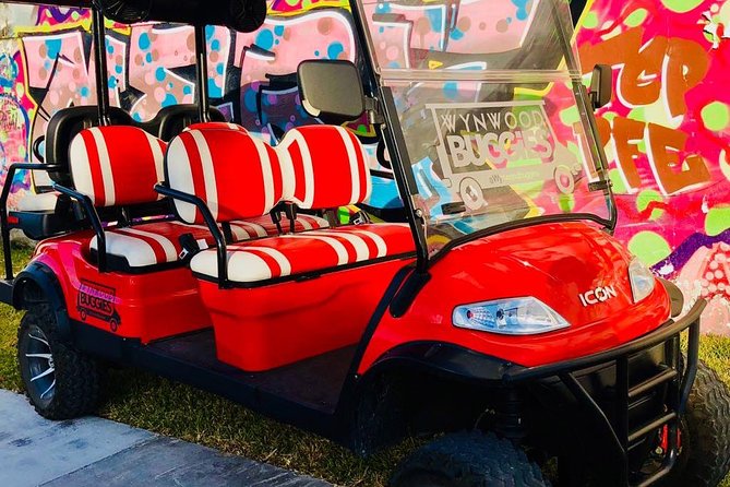 1 Hour WYNWOOD BUGGIES tour - Who This Tour Suits Best (And Who Might Skip It)