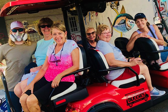 1 Hour WYNWOOD BUGGIES tour - The One-Hour Wynwood Route: Murals, Photo Stops, and Your Stop Requests