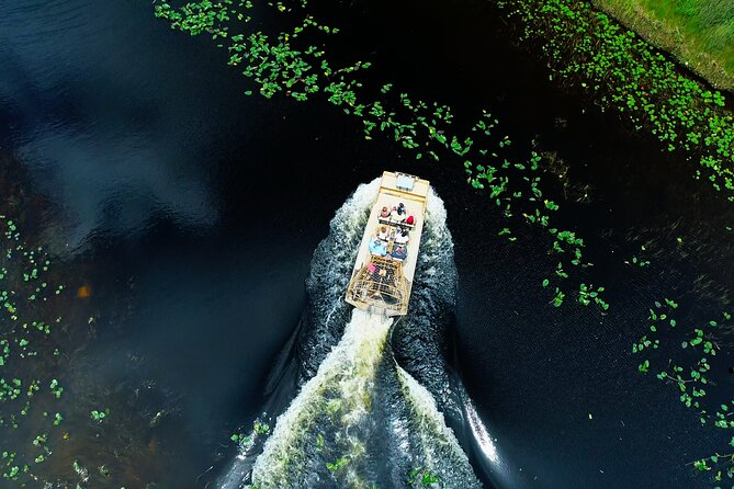 1 hr Private Airboat Everglades Tour near Miami - What to Expect From Wildlife: Realistic Alligator Odds
