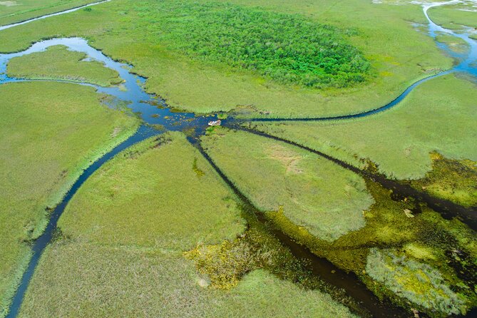 1 hr Private Airboat Everglades Tour near Miami - Meeting Point and Timing Near Shark Valley Visitor Center