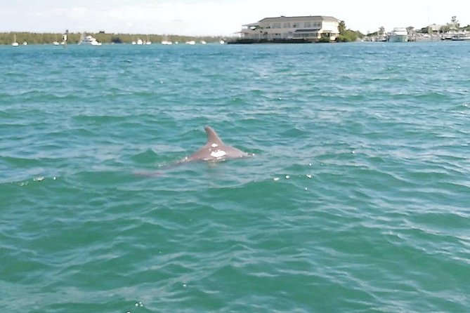 26 Ft Boat, Miami Bay Tour for 2 or 4 hours. 10 people - Stops worth building your cruise around (and what to watch for)