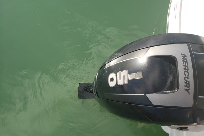 42 to 46 Ft Private Yacht Miami, rent for 2 our 4 hours, 12 ppl - The Miami Bay Sights: What You Can Expect to See