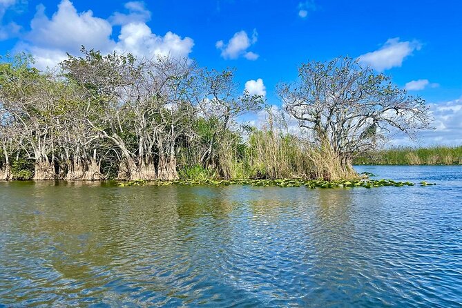 60 min. Everglades Airboat ride & pick-up ,small group +pro guide - Group size, seating, and why some rides feel more limited than others