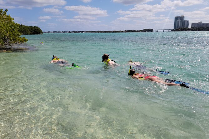 Beginner Friendly Island Snorkeling - From Miami Beach to Biscayne Bay: What Your Morning Looks Like