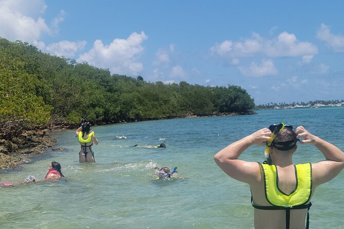 Beginner Friendly Island Snorkeling - What’s Included in the Price, and Why $99 Can Make Sense
