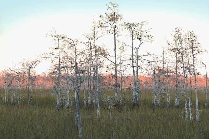 Big Cypress National Preserve Self Guided Driving Audio Tour - Time expectations: 2-3 hours quick, 3-5 hours if you linger