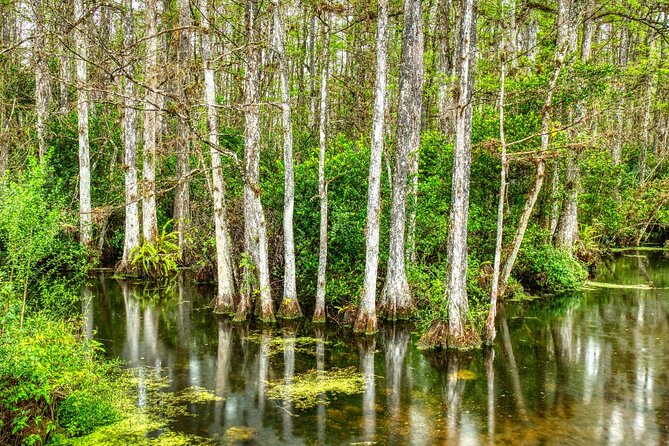 Big Cypress National Preserve Self Guided Driving Audio Tour - Stop 1: US Highway 41 and the Indigenous map you usually miss