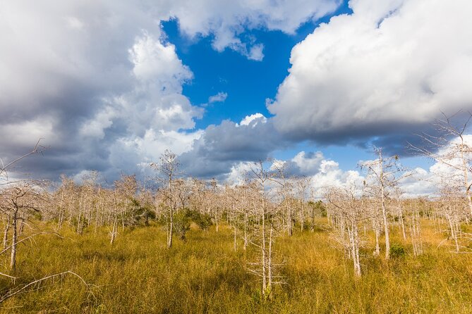 Big Cypress National Preserve Self Guided Driving Audio Tour - Stop 2: Miccosukee Indian Village for crafts, a museum, and the Everglades refuge story