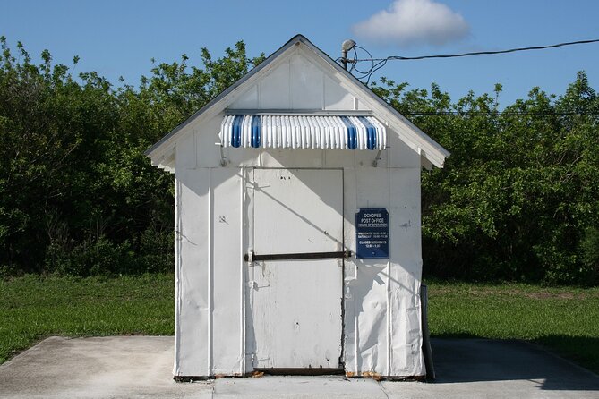 Big Cypress National Preserve Self Guided Driving Audio Tour - Stop 3: Tree Snail Hammock Trail for a short loop and a rare wildlife target