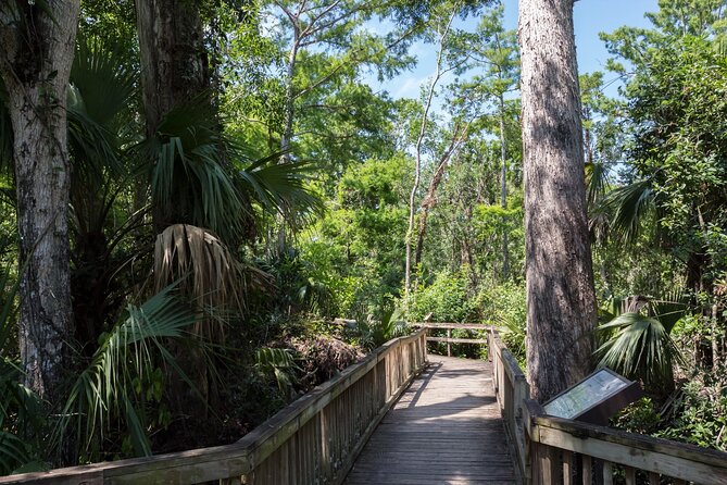 Big Cypress National Preserve Self Guided Driving Audio Tour - Price that makes sense when you split it by the car