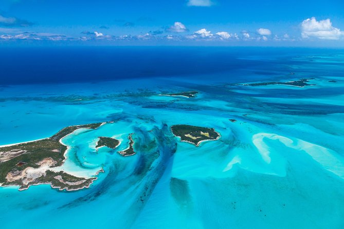 Bimini Day Cruise from Fort Lauderdale with Round-Trip Miami Transfer - Key things I’d bet on before you go