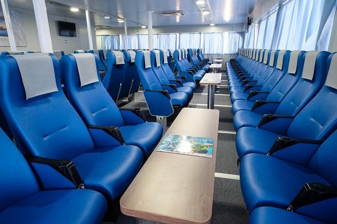 Bimini Day Cruise from Fort Lauderdale with Round-Trip Miami Transfer - Who this Bimini day cruise suits best