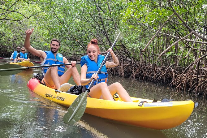 Biscayne Bay Island and Nature Exploration - A quick reality check