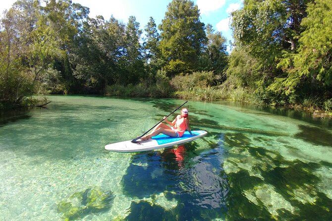 Biscayne Bay Island and Nature Exploration - Stop 1: Sandspur Island kayaking to Raccoon Island