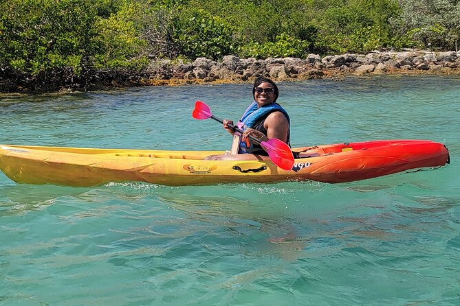 Biscayne Bay Island and Nature Exploration - Stop 2: Biscayne Bay cruise from Venetian Marina to Bird Island