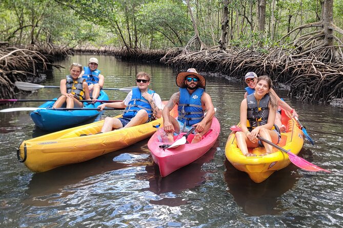 Biscayne Bay Island and Nature Exploration - Wildlife spotting odds: what to watch for on both legs
