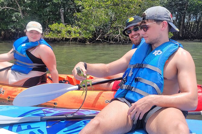 Biscayne Bay Island and Nature Exploration - How beginner-friendly is the kayaking?