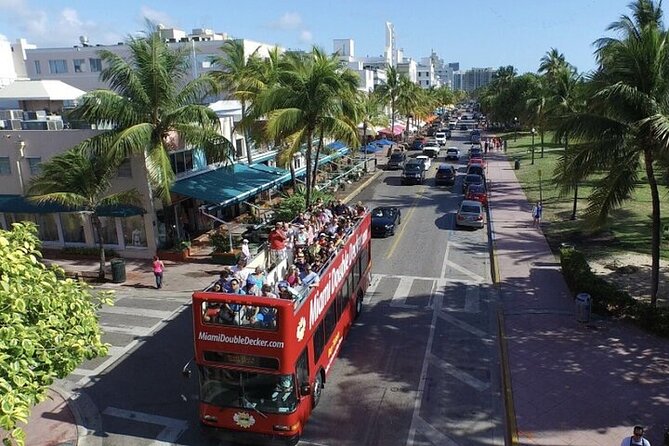 City Half Day Tour of Miami by Bus with Sightseeing Cruise - South Beach and Downtown from the open-top double-decker