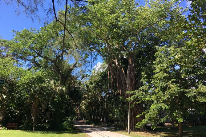 City Tour Miami PLUS and Boat Tour - Little Havana: Cuban culture, coffee, and time for lunch