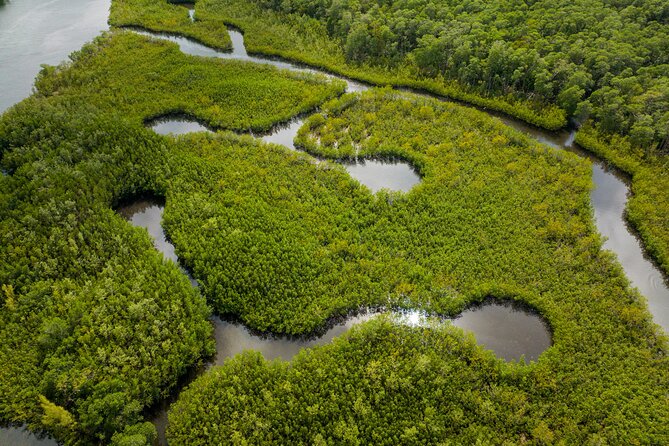 Clear Kayak Tour in North Miami Beach - Mangrove Tunnels - Clear bottom kayaking in North Miami Beach: what this trip is really like