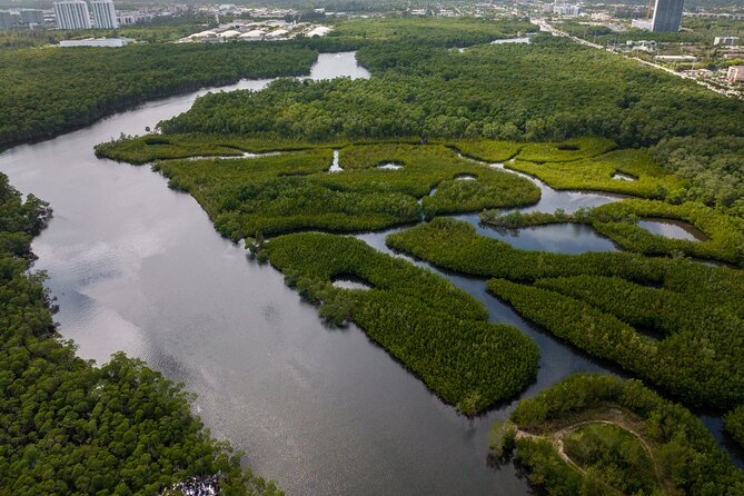 Clear Kayak Tour in North Miami Beach - Mangrove Tunnels - Tandem kayak for couples: comfort, control, and who this fits best