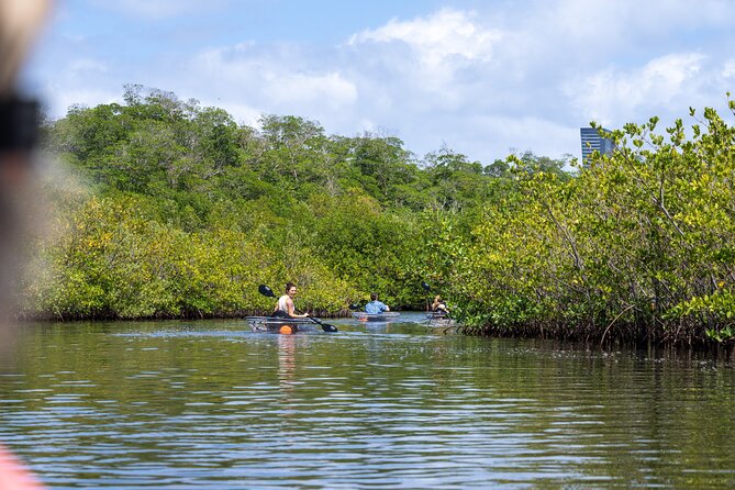 Clear Kayak Tour in North Miami Beach - Mangrove Tunnels - The guide effect: why names keep showing up