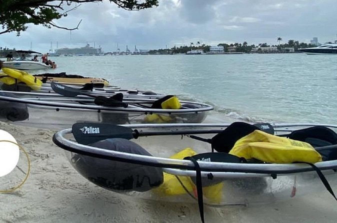 Clear Kayak Tour in South Miami Beach and Biscayne Bay - Who this tour suits best
