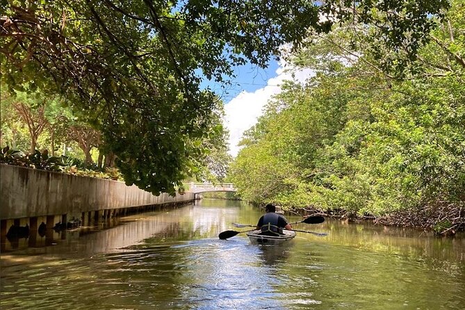 Clear Kayak Tour in South Miami Beach and Biscayne Bay - Collins Waterfront Architectural District stop, Miami mid-century up close