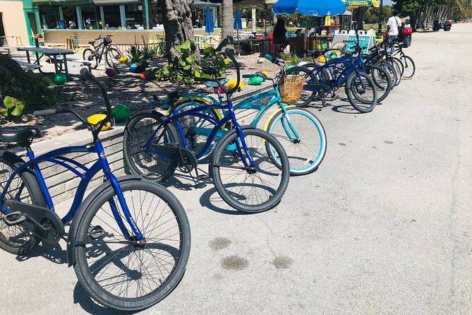 Cruiser Bike Rental at Crandon Park - Price And Value: $24 For About One Hour