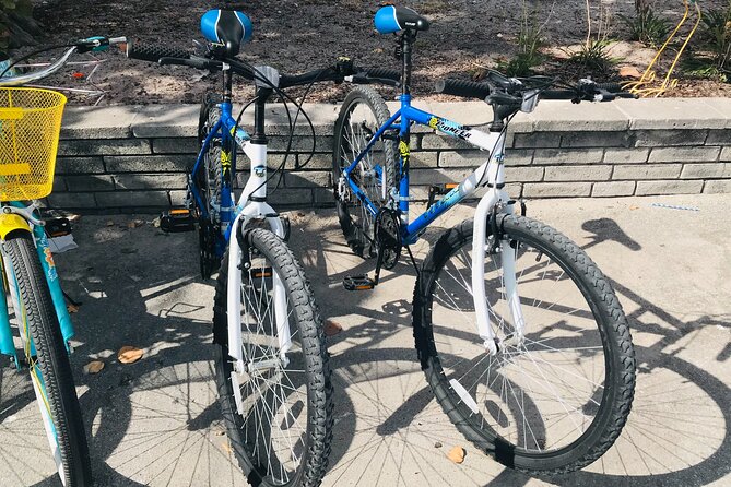 Cruiser Bike Rental at Crandon Park - Botanical Garden, Butterfly Garden, And Exotic Birds Stops