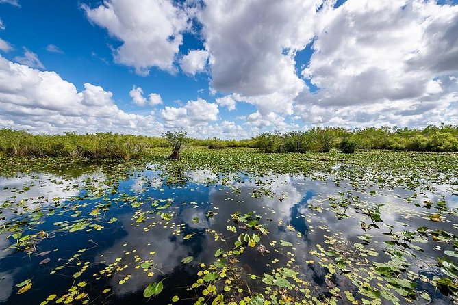 Depart from Miami to discover the Everglades with Airboat tour included! - Getting from Miami to the Everglades, without turning it into a logistics project