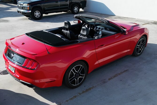 Drive a Mustang Convertible - Key highlights to know before you book