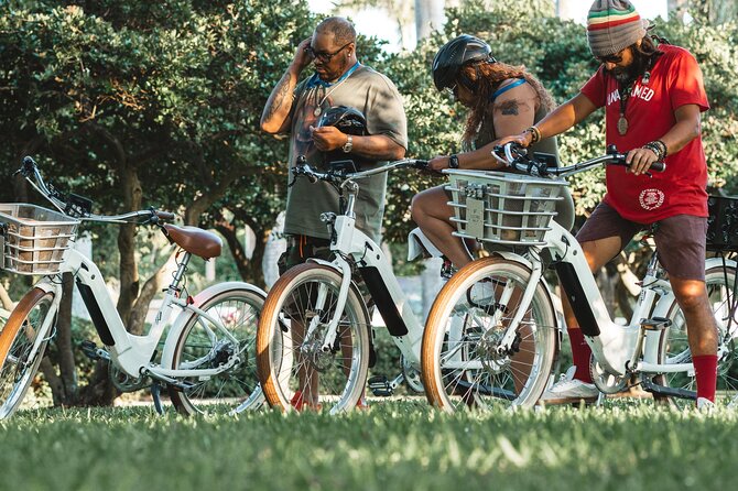 Electric Bike Tour in South Beach - South Pointe Park: the quickest way to see the skyline, Port, and Fisher Island