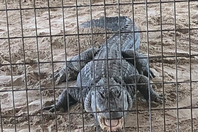 Everglades Airboat Experience – Wildlife & Wetlands - Everglades National Park: why the name can confuse things