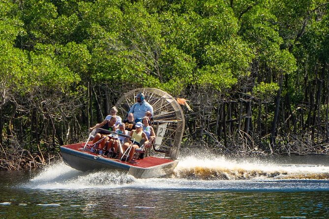 Everglades Airboat Experience – Wildlife & Wetlands - Wildlife expectations: what affects how many alligators you see