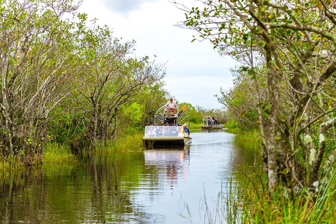 Everglades Airboat Safari Adventure with Transportation - Everglades Time On Foot: Exhibits, Alligator Programs, and Lunch Windows