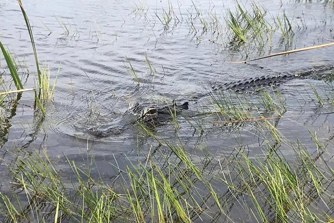 Everglades Airboat Safari Adventure with Transportation - Are You Visiting Everglades National Park or a Nearby Airboat Site?