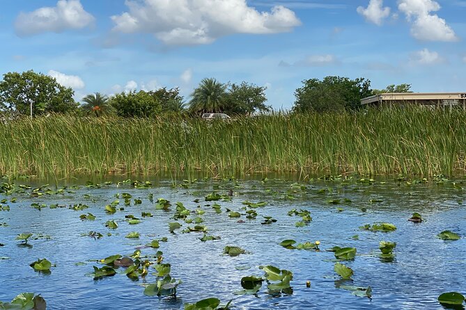 Everglades Airboat Tour with Roundtrip Transportation from Miami - Photo Ops, On-Foot Time, and What You Can Realistically Do