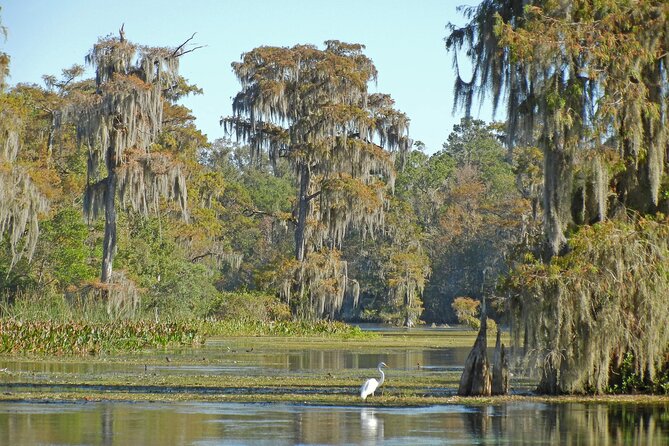 Everglades Airboat Tour with Roundtrip Transportation from Miami - 30 Minutes on the Airboat, plus Wildlife-Spotting Tips That Pay Off