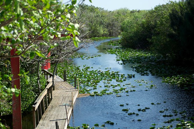 Everglades Airboat, Wildlife Show, and Roundtrip Bus From Miami - Free Photo, Optional Souvenir Snaps, and How to Budget