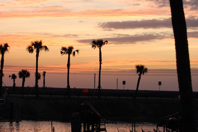 Everglades at Night with Airboat and Alligators Tour From Miami - Should you book Everglades at Night with airboat and alligators?