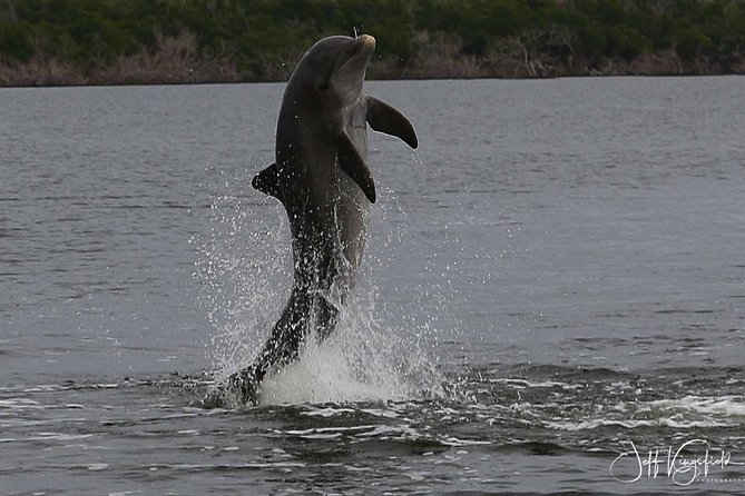 Everglades Birding, Dolphin and Wildlife Boat Tour (2 hours) - Entering The Everglades by skiff, not airboat noise
