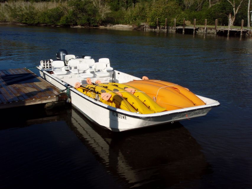 Everglades: Boat Assisted Kayak Eco Tour - Key highlights that make this tour worth your time