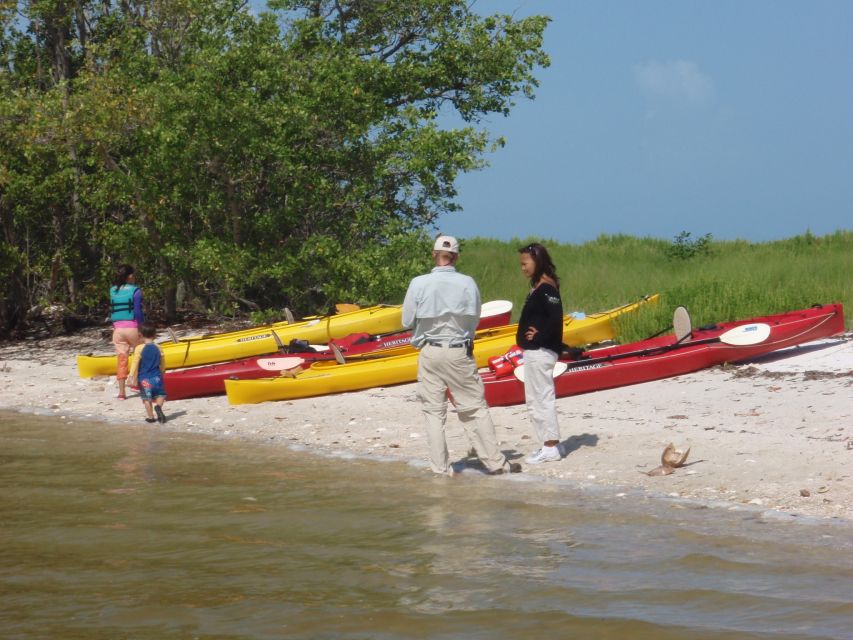 Everglades: Boat Assisted Kayak Eco Tour - Why Chokoloskee feels like a shortcut into real Everglades