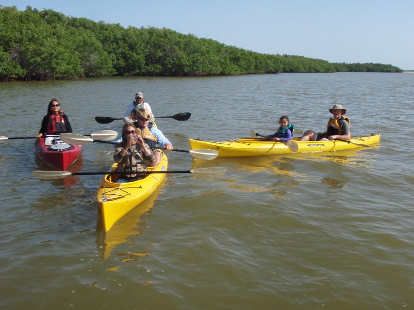 Everglades: Boat Assisted Kayak Eco Tour - Second kayaking leg and another wildlife window