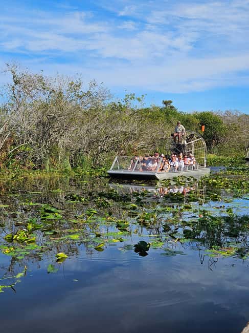 Everglades: boat tour with transportation& entrance included - The alligator show and ecosystem talk that connects the dots